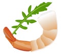 Shrimp with rucolla vector isolated illustartion Royalty Free Stock Photo