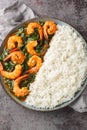 Shrimp Saag is an flavorful curry made with juicy prawn, onion, garlic, ginger, spinach and aromatic spices served with rice Royalty Free Stock Photo