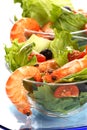 Shrimp salad