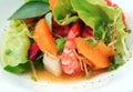 Shrimp salad food Royalty Free Stock Photo