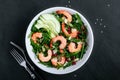 Shrimp salad with fresh green arugula leaves and avocado, radicchio, almond and sesame seeds Royalty Free Stock Photo