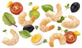Shrimp salad ingredients isolated on white background