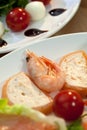 Shrimp & Salmon Mousse & Tomato Mozzarella Salad Royalty Free Stock Photo