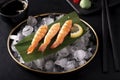 shrimp sashimi on ice in a black plate Royalty Free Stock Photo