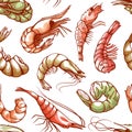 Shrimp sea shellfish seamless seafood cuisine pattern