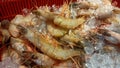 Shrimp seafood closeup texture ice