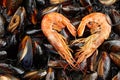 A Shrimp in the shape of a heart on the background of mussels Royalty Free Stock Photo