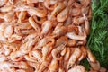 Shrimp. Shrimps lie on a plate. Boiled ready-to-eat shrimp. A large dish of small shrimps