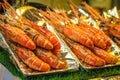 Shrimp sold in market Royalty Free Stock Photo