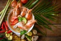 Shrimp soup on seafood soup bowl with thai herb and spices, Hot and sour spicy shrimps prawns soup curry lemon lime galangal red Royalty Free Stock Photo