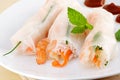 Shrimp spring rolls Royalty Free Stock Photo