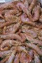 Shrimp in an stall at the fish market Royalty Free Stock Photo