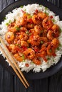 Shrimp stir-fried with garlic, chili pepper, sesame seeds and green onions served with rice close-up in a plate. Vertical top view Royalty Free Stock Photo