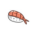 Shrimp sushi asian food vector illustration. Cartoon sketch style.