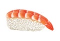 Shrimp sushi with rise and shrimp on a white background