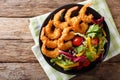 Shrimp tempura and salad of fresh vegetables close-up on a plate Royalty Free Stock Photo