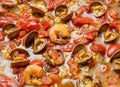 Shrimp in a tomato sauce with mollusks. Italian cuisine. seafood closeup view. Royalty Free Stock Photo