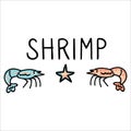 Cute shrimp typography cartoon vector illustration motif set. Hand drawn isolated seafood prawn elements. Clipart for ocean text