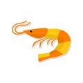 Shrimp vector flat illustration isolated