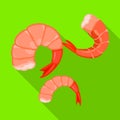 Shrimp vector icon.Flat vector icon isolated on white background shrimp . Royalty Free Stock Photo