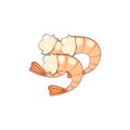 Shrimp vector illustration isolated on white, Healthy food illustration