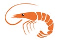 Shrimp vector illustration