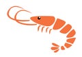 Shrimp vector illustration