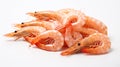Shrimp on a white background. Neural network AI generated Royalty Free Stock Photo