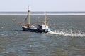 Shrimper sails over dutch Waddensea, Ameland Island Royalty Free Stock Photo