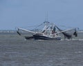 Shrimping Boat with a Flock of Seagull Passengers