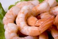 Shrimps