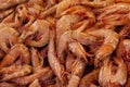 Shrimps Royalty Free Stock Photo