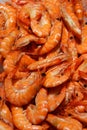 Shrimps Royalty Free Stock Photo