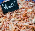Shrimps background. Alive pink shrimps displayed at a local French fish market . Fresh seafood