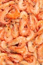 Shrimps background texture. A lot of shrimps. Cooked shrimps Royalty Free Stock Photo