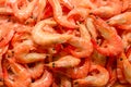 Shrimps background texture. A lot of shrimps. Cooked shrimps Royalty Free Stock Photo