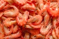 Shrimps background texture. A lot of shrimps. Cooked shrimps Royalty Free Stock Photo
