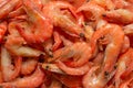 Shrimps background texture. A lot of shrimps. Cooked shrimps Royalty Free Stock Photo