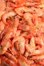 Shrimps background texture. A lot of shrimps. Cooked shrimps Royalty Free Stock Photo