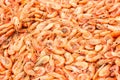 Shrimps background texture. A lot of sea shrimp or pattern of krill. Sea food like shrimp or krill on the street food festival. St