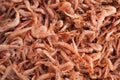 Shrimps background texture. Royalty Free Stock Photo
