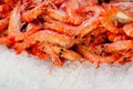 Shrimps at fishmarket Royalty Free Stock Photo