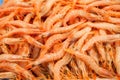 Shrimps at fishmarket Royalty Free Stock Photo