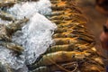 Shrimps at fishmarket Royalty Free Stock Photo