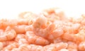 Shrimps. Fresh peeled Prawns isolated on white background. Preparing healthy seafood Royalty Free Stock Photo