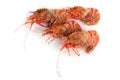 Shrimps isolated on white northern Bering shrimp Royalty Free Stock Photo