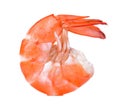 Shrimps isolated on a white