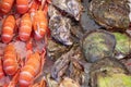 Shrimps, oysters and sea shells sea food