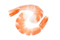 Shrimps peeled, prawn cooked, two pieces isolated on white background with clipping path, element of packaging design