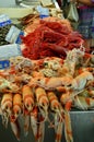 Shrimps, Langoustines and Carabineros for sale at Cadiz fish Market Royalty Free Stock Photo